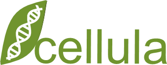 CELLULA